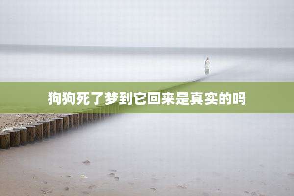 狗狗死了梦到它回来是真实的吗
