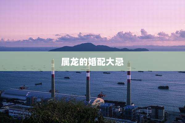 属龙的婚配大忌