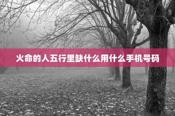 火命的人五行里缺什么用什么手机号码