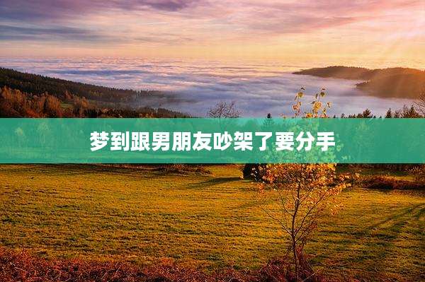 梦到跟男朋友吵架了要分手