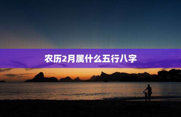 农历2月属什么五行八字