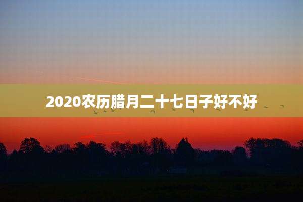 2020农历腊月二十七日子好不好