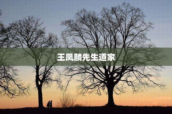 王凤麟先生道家