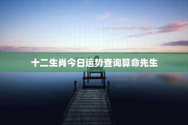 十二生肖今日运势查询算命先生