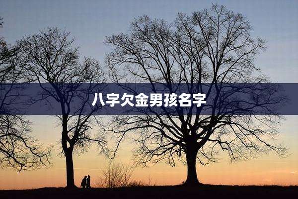 八字欠金男孩名字