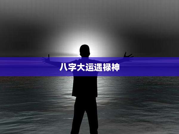 八字大运遇禄神