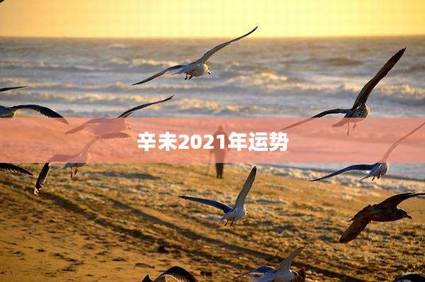 辛未2021年运势