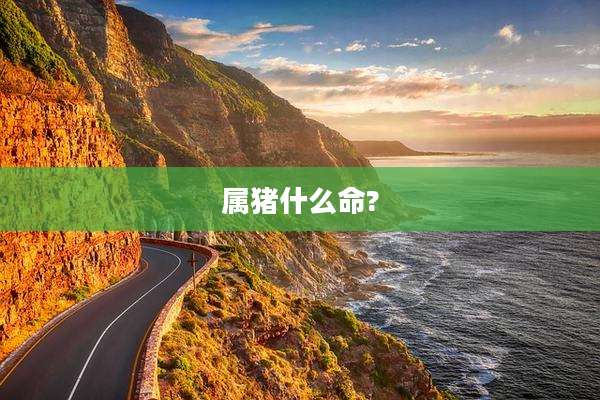 属猪什么命?