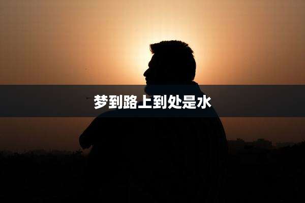 梦到路上到处是水