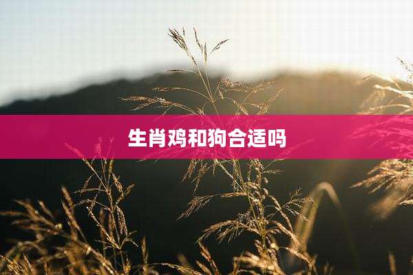 生肖鸡和狗合适吗