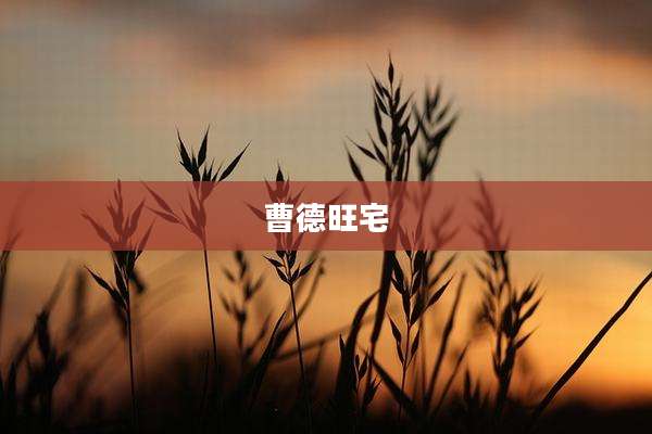 曹德旺宅