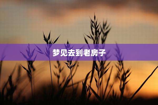 梦见去到老房子
