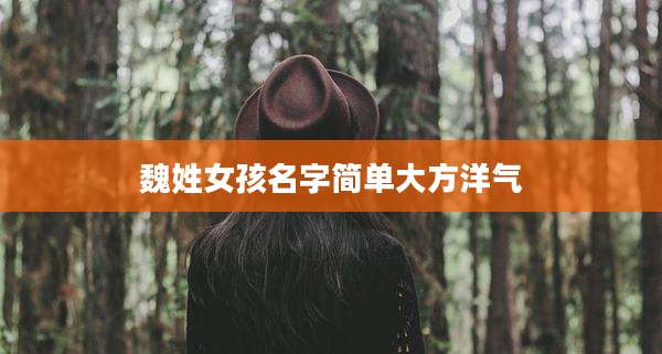 魏姓女孩名字简单大方洋气