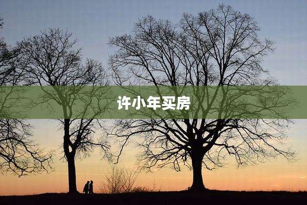 许小年买房