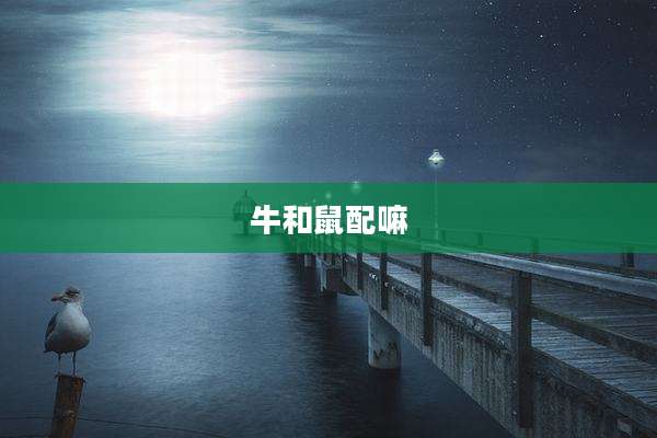 牛和鼠配嘛