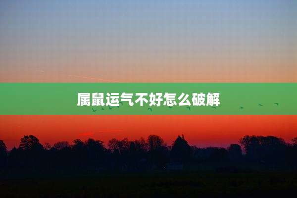 属鼠运气不好怎么破解