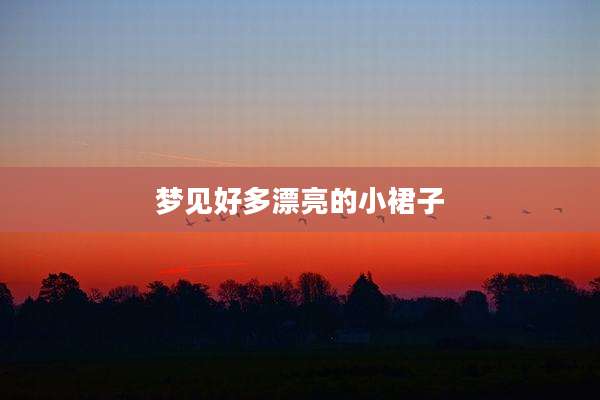 梦见好多漂亮的小裙子