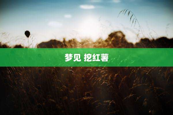 梦见 挖红薯