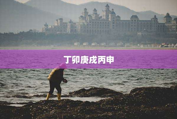 丁卯庚戌丙申