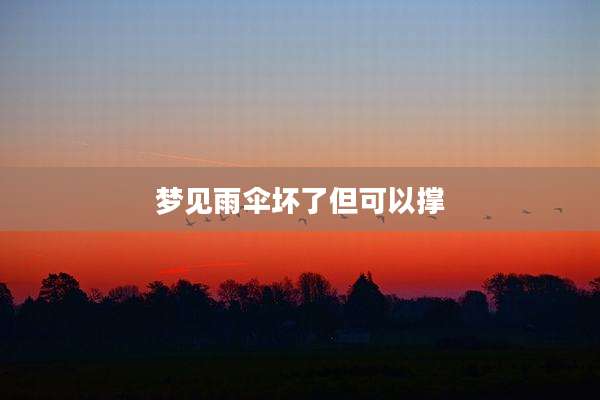 梦见雨伞坏了但可以撑