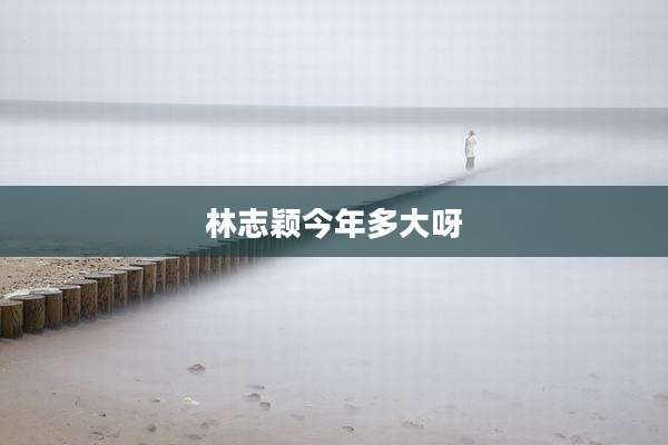 林志颖今年多大呀