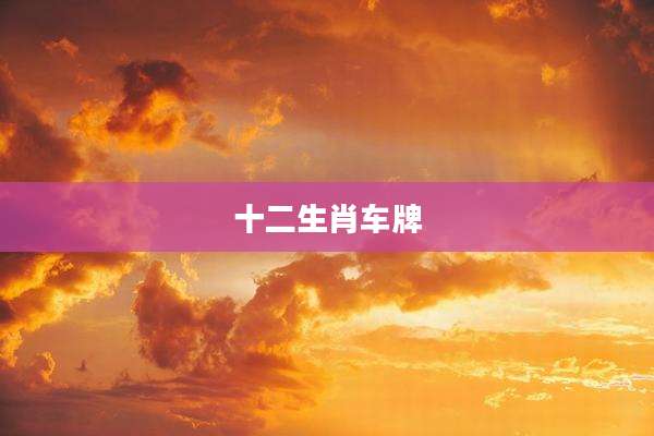 十二生肖车牌