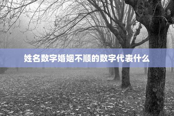 姓名数字婚姻不顺的数字代表什么