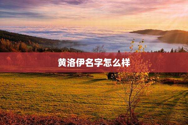 黄洛伊名字怎么样