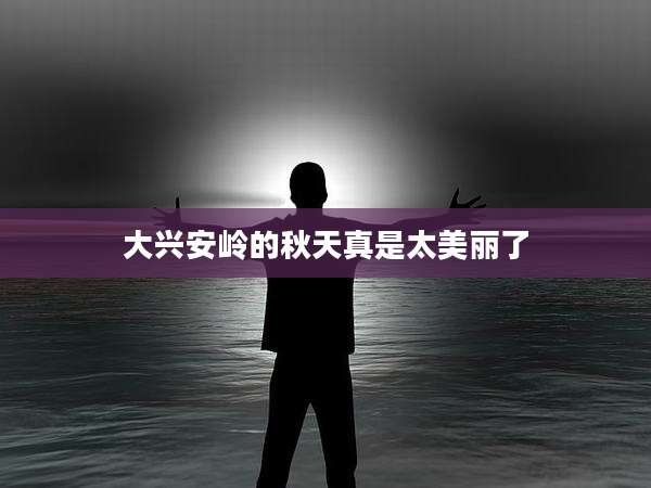 大兴安岭的秋天真是太美丽了