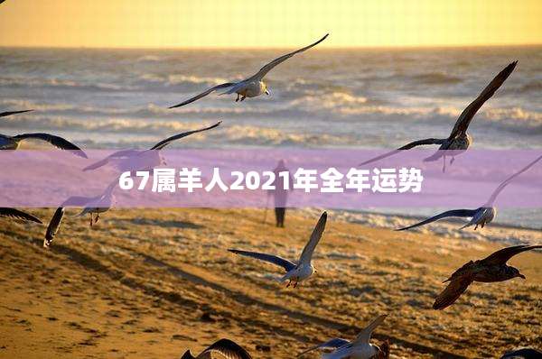67属羊人2021年全年运势