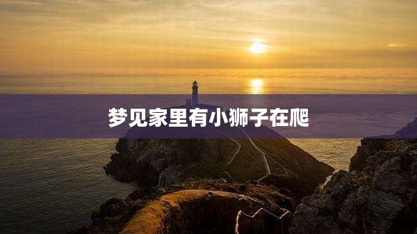 梦见家里有小狮子在爬