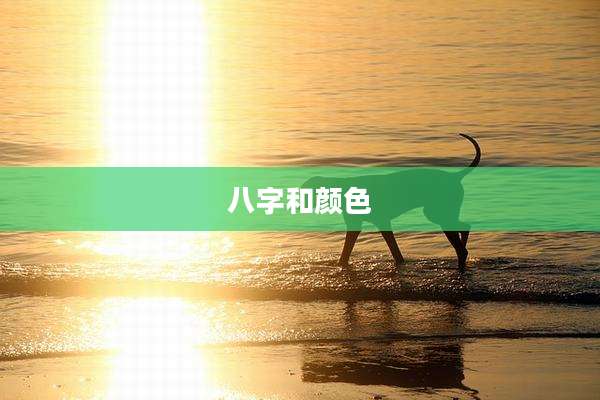 八字和颜色