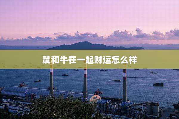 鼠和牛在一起财运怎么样