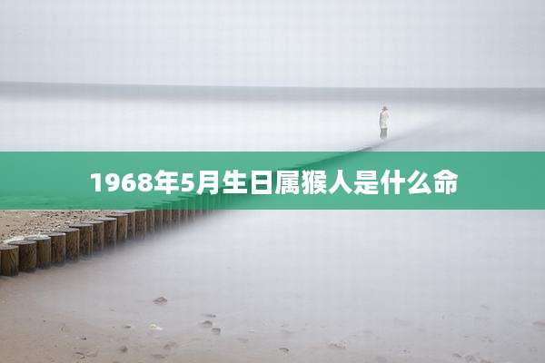 1968年5月生日属猴人是什么命