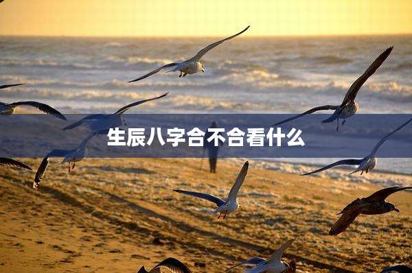 生辰八字合不合看什么