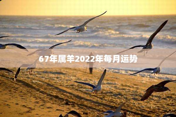 67年属羊2022年每月运势