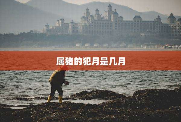 属猪的犯月是几月