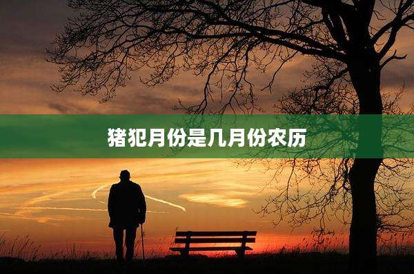 猪犯月份是几月份农历