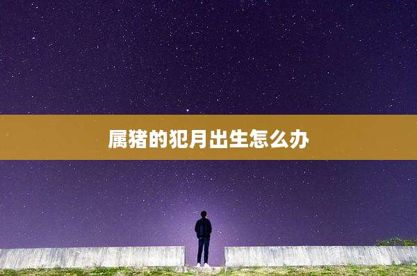 属猪的犯月出生怎么办