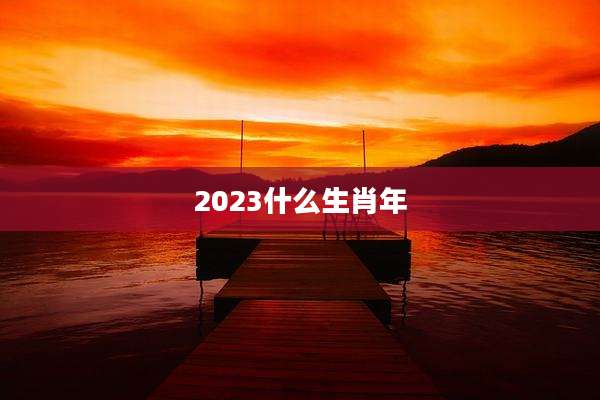 2023什么生肖年