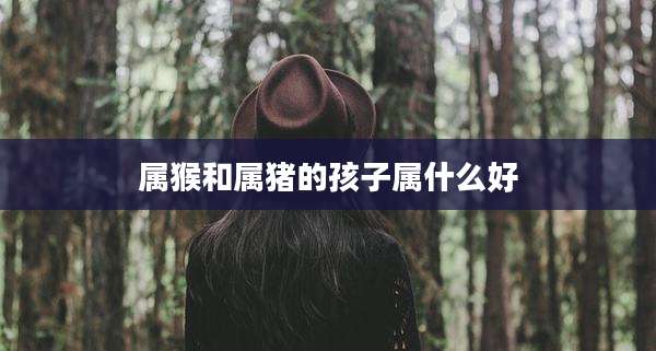 属猴和属猪的孩子属什么好