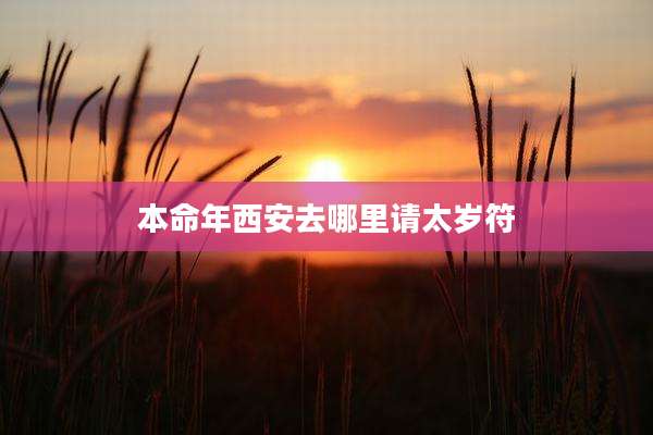 本命年西安去哪里请太岁符