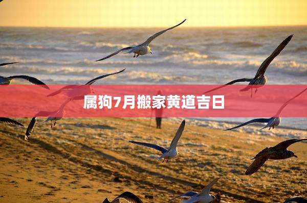 属狗7月搬家黄道吉日