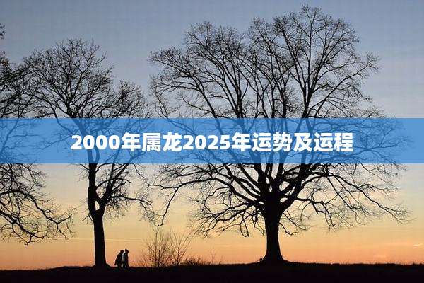 2000年属龙2025年运势及运程