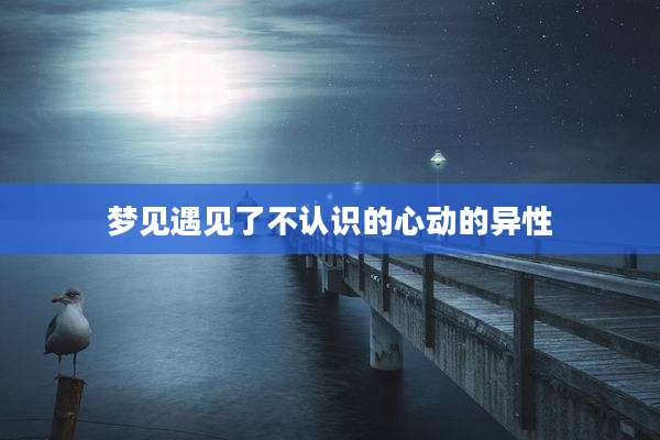 梦见遇见了不认识的心动的异性