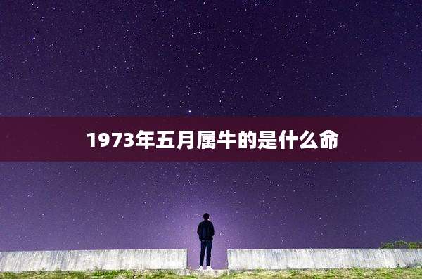 1973年五月属牛的是什么命