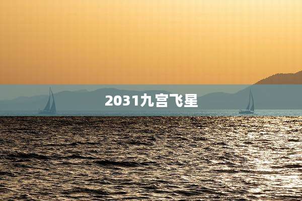 2031九宫飞星
