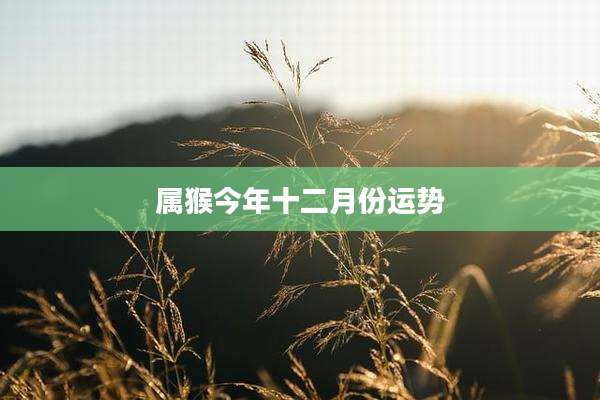 属猴今年十二月份运势