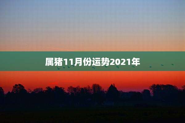 属猪11月份运势2021年
