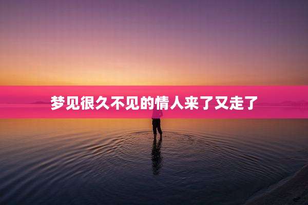 梦见很久不见的情人来了又走了